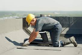 Best Steel Roofing  in Danville, AR